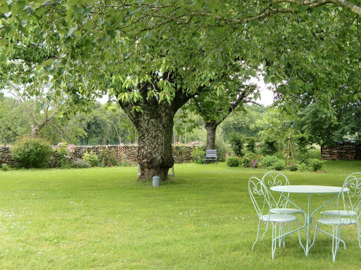 Bed and Breakfast Du Cote De L'Ombriere Geay  Zewnętrze zdjęcie